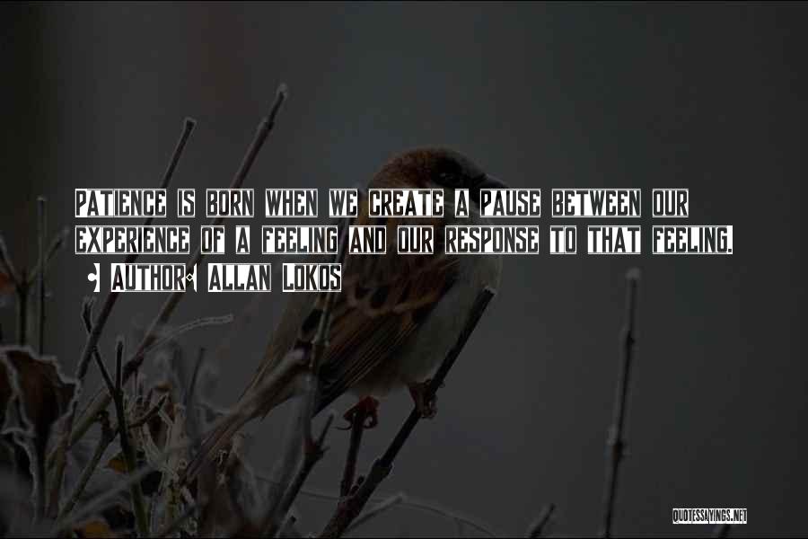 Allan Lokos Quotes: Patience Is Born When We Create A Pause Between Our Experience Of A Feeling And Our Response To That Feeling.