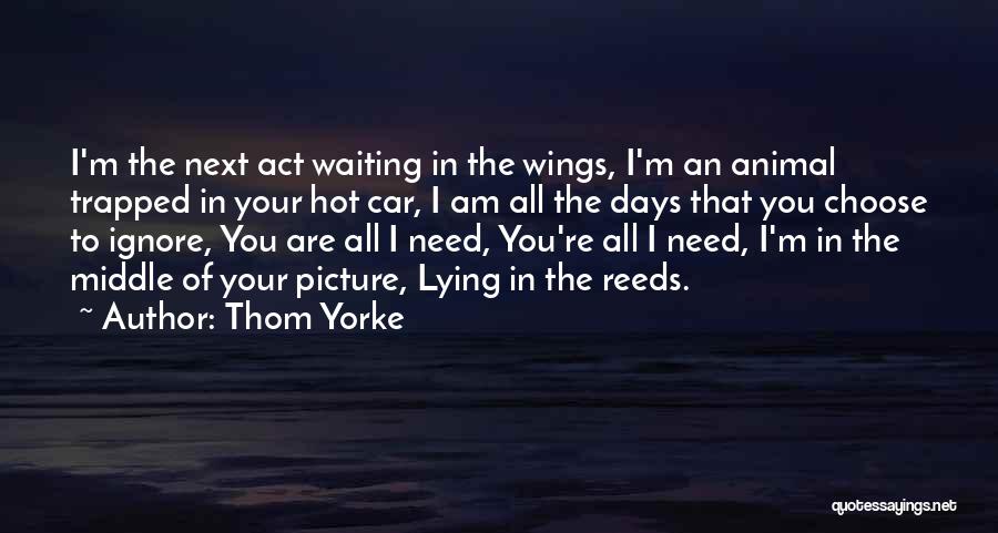 Thom Yorke Quotes: I'm The Next Act Waiting In The Wings, I'm An Animal Trapped In Your Hot Car, I Am All The