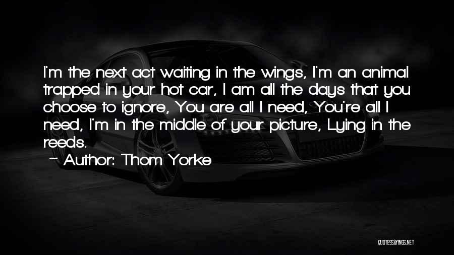 Thom Yorke Quotes: I'm The Next Act Waiting In The Wings, I'm An Animal Trapped In Your Hot Car, I Am All The