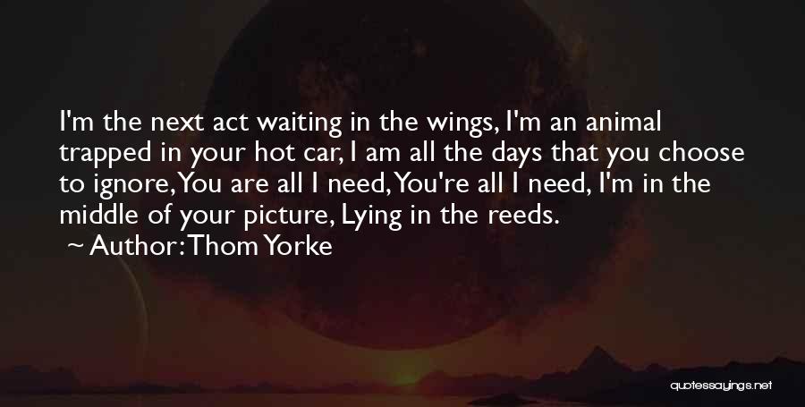 Thom Yorke Quotes: I'm The Next Act Waiting In The Wings, I'm An Animal Trapped In Your Hot Car, I Am All The