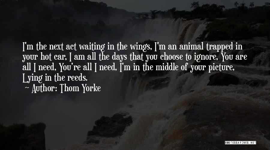 Thom Yorke Quotes: I'm The Next Act Waiting In The Wings, I'm An Animal Trapped In Your Hot Car, I Am All The