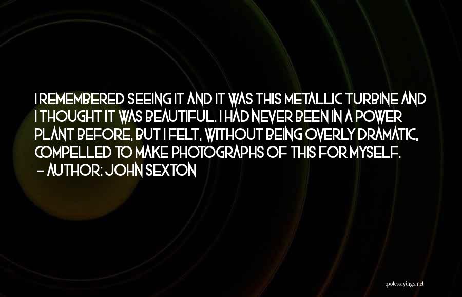 John Sexton Quotes: I Remembered Seeing It And It Was This Metallic Turbine And I Thought It Was Beautiful. I Had Never Been