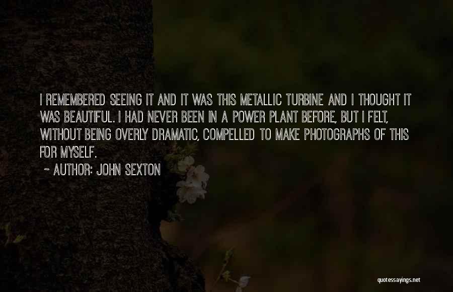 John Sexton Quotes: I Remembered Seeing It And It Was This Metallic Turbine And I Thought It Was Beautiful. I Had Never Been