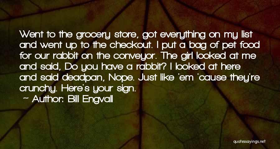 Bill Engvall Quotes: Went To The Grocery Store, Got Everything On My List And Went Up To The Checkout. I Put A Bag