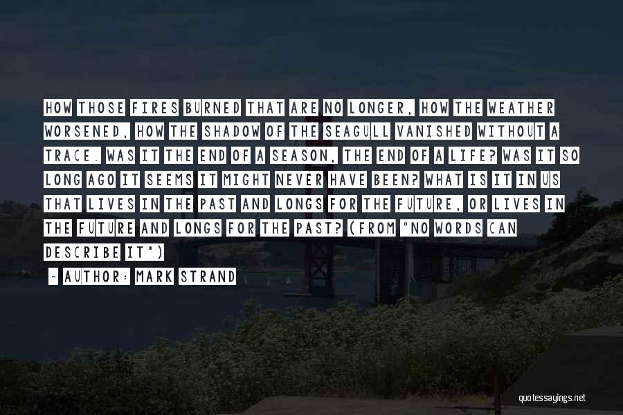 Mark Strand Quotes: How Those Fires Burned That Are No Longer, How The Weather Worsened, How The Shadow Of The Seagull Vanished Without