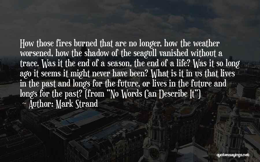Mark Strand Quotes: How Those Fires Burned That Are No Longer, How The Weather Worsened, How The Shadow Of The Seagull Vanished Without