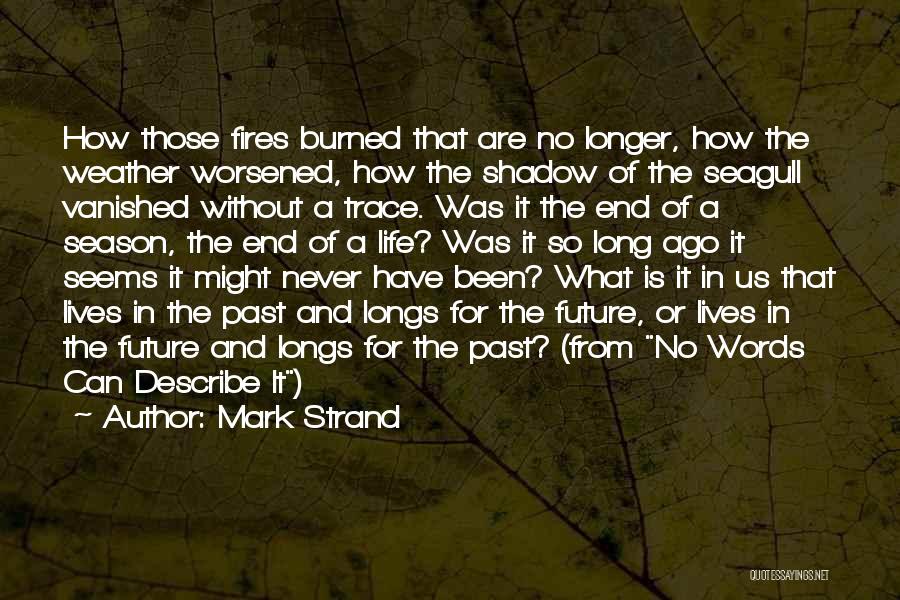 Mark Strand Quotes: How Those Fires Burned That Are No Longer, How The Weather Worsened, How The Shadow Of The Seagull Vanished Without