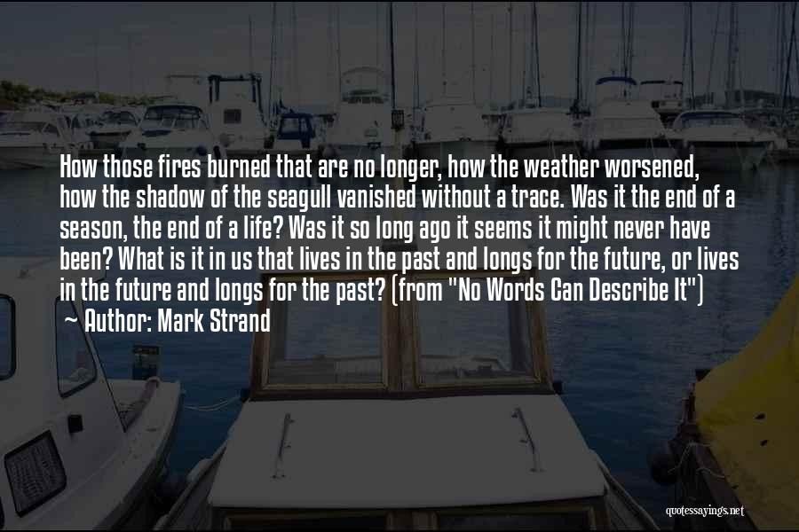 Mark Strand Quotes: How Those Fires Burned That Are No Longer, How The Weather Worsened, How The Shadow Of The Seagull Vanished Without