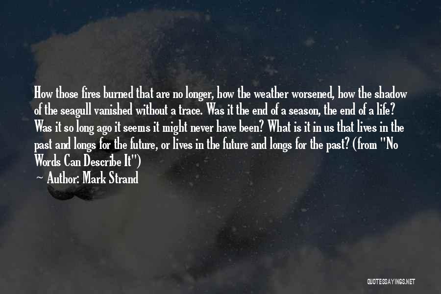 Mark Strand Quotes: How Those Fires Burned That Are No Longer, How The Weather Worsened, How The Shadow Of The Seagull Vanished Without