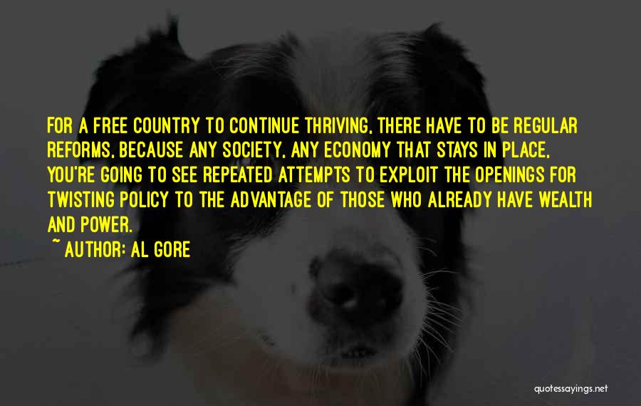 Al Gore Quotes: For A Free Country To Continue Thriving, There Have To Be Regular Reforms, Because Any Society, Any Economy That Stays