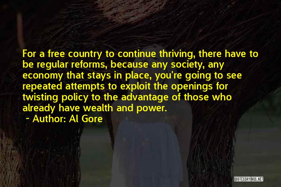 Al Gore Quotes: For A Free Country To Continue Thriving, There Have To Be Regular Reforms, Because Any Society, Any Economy That Stays