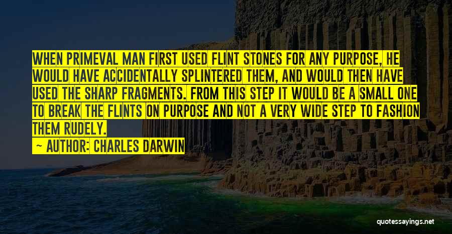 Charles Darwin Quotes: When Primeval Man First Used Flint Stones For Any Purpose, He Would Have Accidentally Splintered Them, And Would Then Have