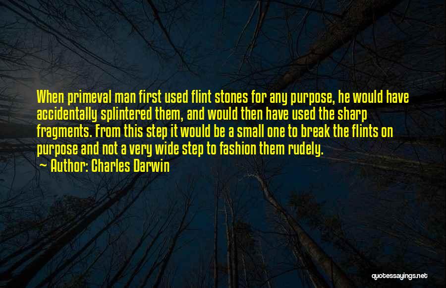 Charles Darwin Quotes: When Primeval Man First Used Flint Stones For Any Purpose, He Would Have Accidentally Splintered Them, And Would Then Have