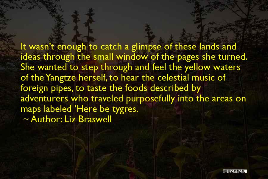 Liz Braswell Quotes: It Wasn't Enough To Catch A Glimpse Of These Lands And Ideas Through The Small Window Of The Pages She