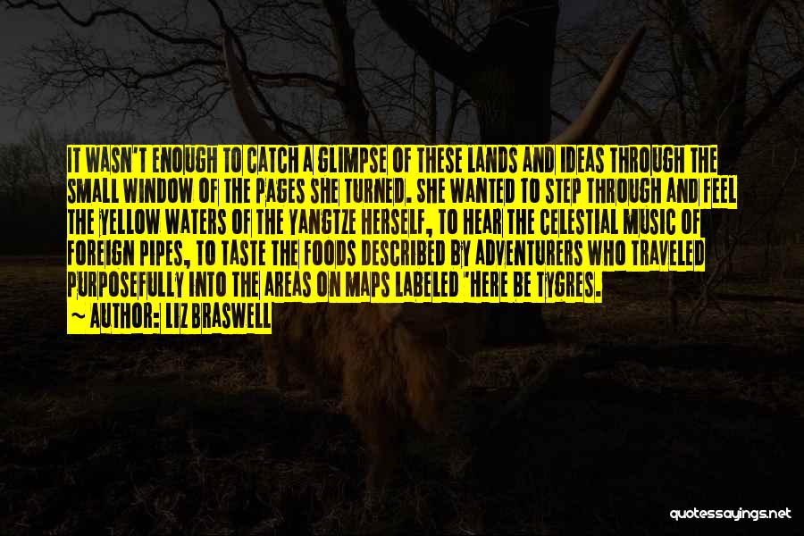 Liz Braswell Quotes: It Wasn't Enough To Catch A Glimpse Of These Lands And Ideas Through The Small Window Of The Pages She