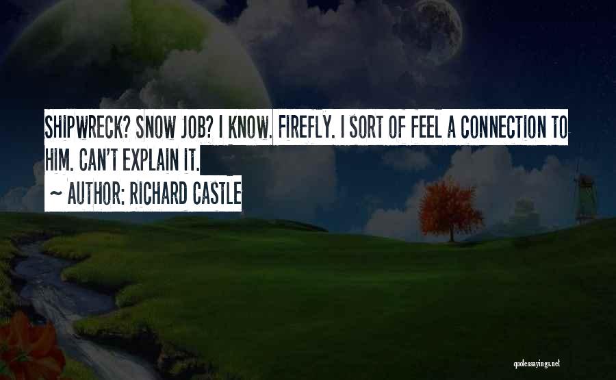 Richard Castle Quotes: Shipwreck? Snow Job? I Know. Firefly. I Sort Of Feel A Connection To Him. Can't Explain It.