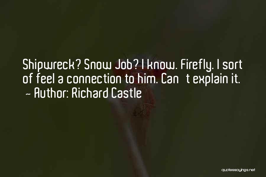 Richard Castle Quotes: Shipwreck? Snow Job? I Know. Firefly. I Sort Of Feel A Connection To Him. Can't Explain It.