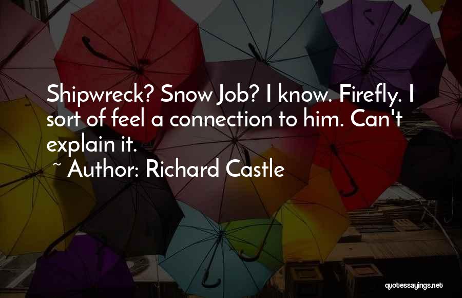 Richard Castle Quotes: Shipwreck? Snow Job? I Know. Firefly. I Sort Of Feel A Connection To Him. Can't Explain It.