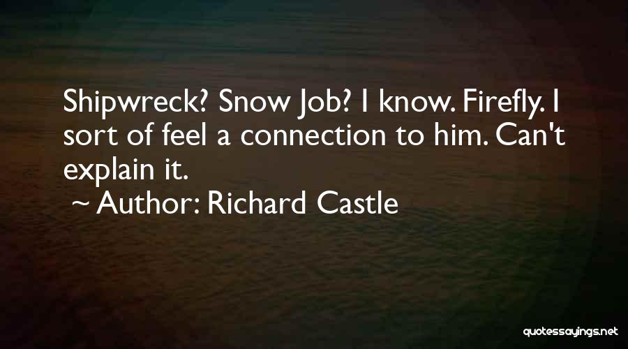 Richard Castle Quotes: Shipwreck? Snow Job? I Know. Firefly. I Sort Of Feel A Connection To Him. Can't Explain It.