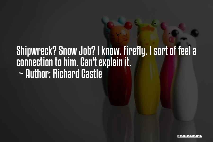 Richard Castle Quotes: Shipwreck? Snow Job? I Know. Firefly. I Sort Of Feel A Connection To Him. Can't Explain It.