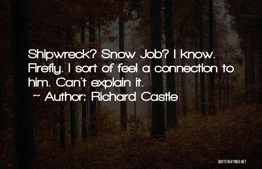 Richard Castle Quotes: Shipwreck? Snow Job? I Know. Firefly. I Sort Of Feel A Connection To Him. Can't Explain It.