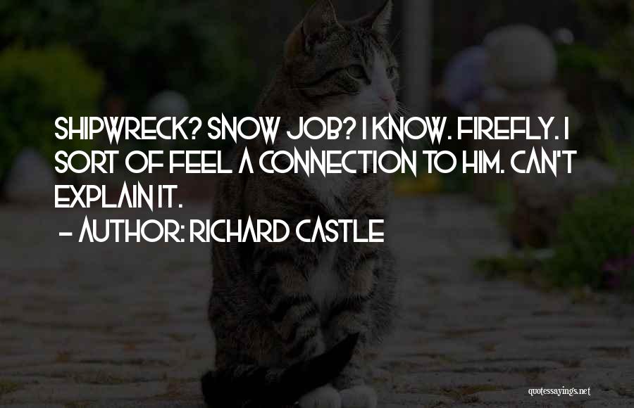Richard Castle Quotes: Shipwreck? Snow Job? I Know. Firefly. I Sort Of Feel A Connection To Him. Can't Explain It.