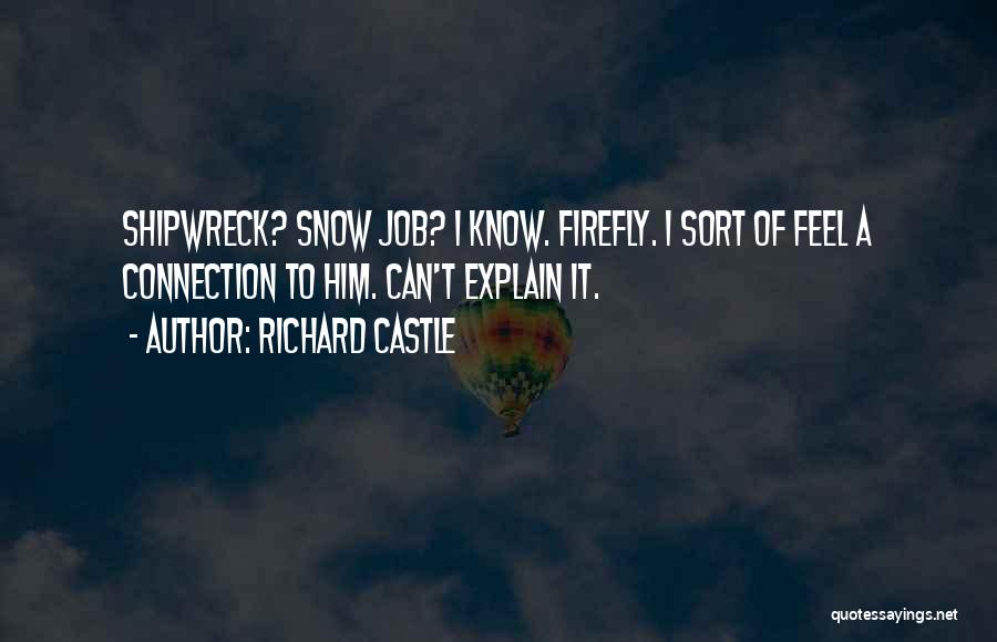 Richard Castle Quotes: Shipwreck? Snow Job? I Know. Firefly. I Sort Of Feel A Connection To Him. Can't Explain It.