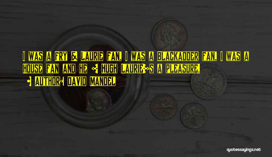 David Mandel Quotes: I Was A Fry & Laurie Fan, I Was A Blackadder Fan, I Was A House Fan And He [