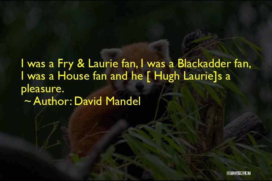 David Mandel Quotes: I Was A Fry & Laurie Fan, I Was A Blackadder Fan, I Was A House Fan And He [