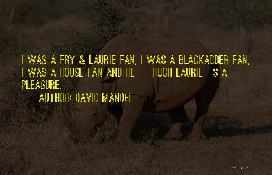 David Mandel Quotes: I Was A Fry & Laurie Fan, I Was A Blackadder Fan, I Was A House Fan And He [