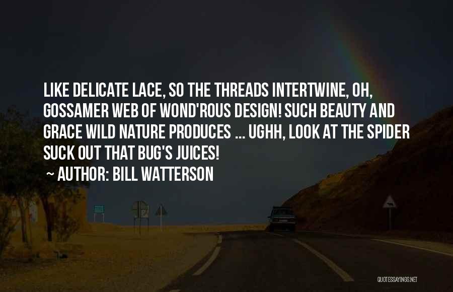 Bill Watterson Quotes: Like Delicate Lace, So The Threads Intertwine, Oh, Gossamer Web Of Wond'rous Design! Such Beauty And Grace Wild Nature Produces