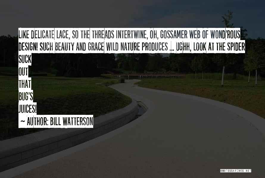 Bill Watterson Quotes: Like Delicate Lace, So The Threads Intertwine, Oh, Gossamer Web Of Wond'rous Design! Such Beauty And Grace Wild Nature Produces