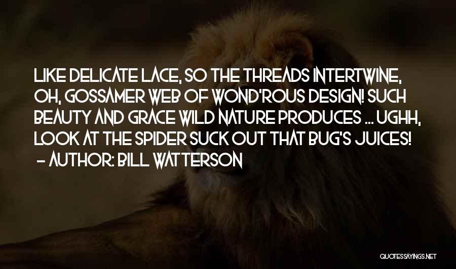 Bill Watterson Quotes: Like Delicate Lace, So The Threads Intertwine, Oh, Gossamer Web Of Wond'rous Design! Such Beauty And Grace Wild Nature Produces