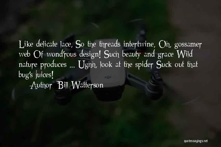 Bill Watterson Quotes: Like Delicate Lace, So The Threads Intertwine, Oh, Gossamer Web Of Wond'rous Design! Such Beauty And Grace Wild Nature Produces