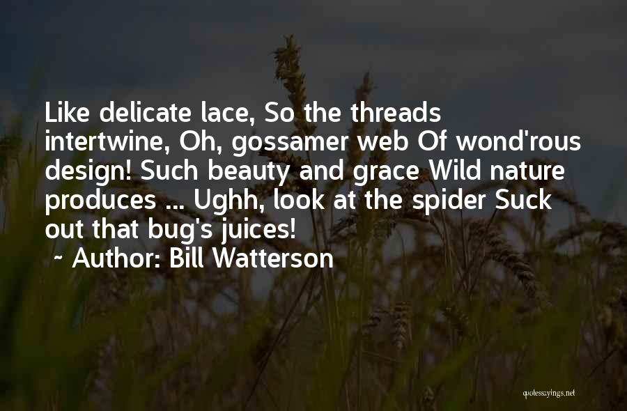Bill Watterson Quotes: Like Delicate Lace, So The Threads Intertwine, Oh, Gossamer Web Of Wond'rous Design! Such Beauty And Grace Wild Nature Produces