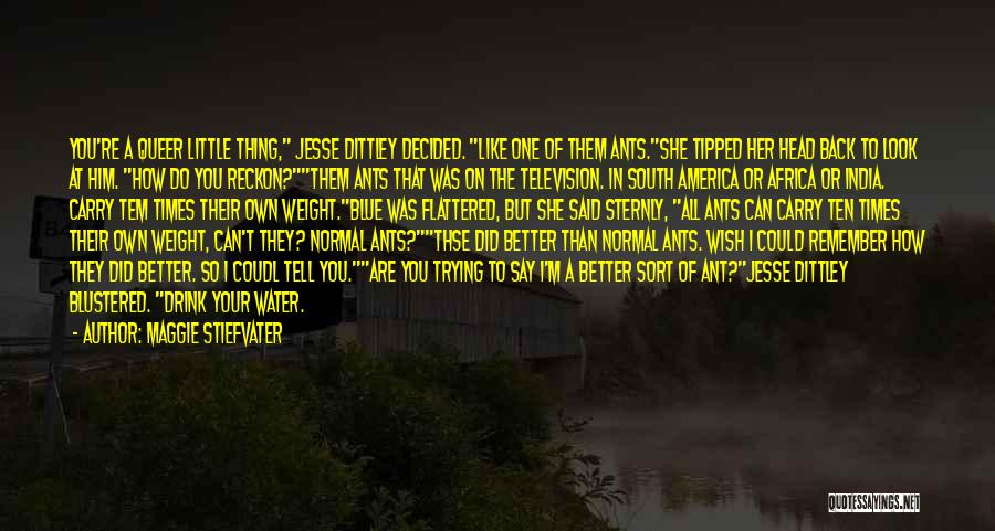 Maggie Stiefvater Quotes: You're A Queer Little Thing, Jesse Dittley Decided. Like One Of Them Ants.she Tipped Her Head Back To Look At