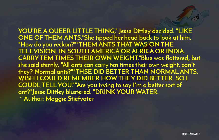 Maggie Stiefvater Quotes: You're A Queer Little Thing, Jesse Dittley Decided. Like One Of Them Ants.she Tipped Her Head Back To Look At