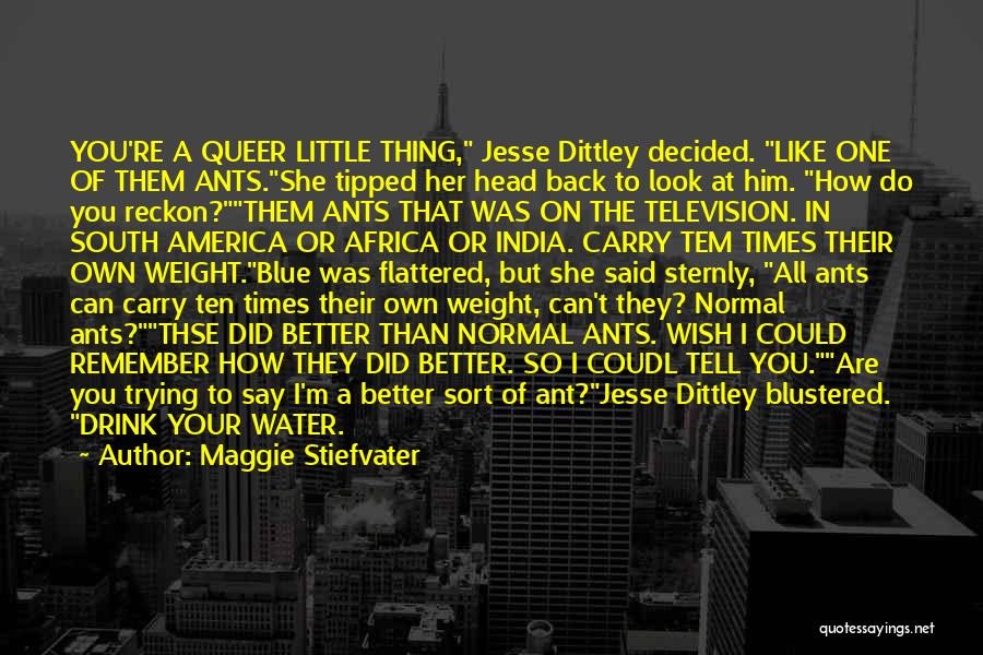 Maggie Stiefvater Quotes: You're A Queer Little Thing, Jesse Dittley Decided. Like One Of Them Ants.she Tipped Her Head Back To Look At