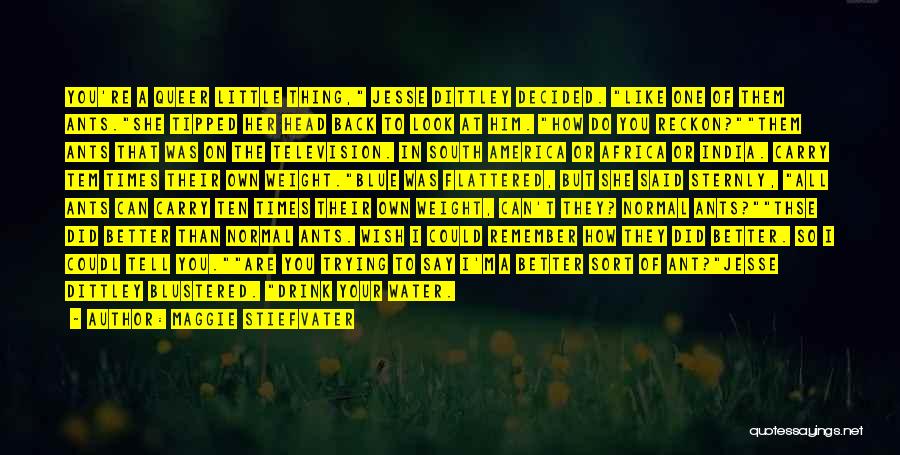 Maggie Stiefvater Quotes: You're A Queer Little Thing, Jesse Dittley Decided. Like One Of Them Ants.she Tipped Her Head Back To Look At