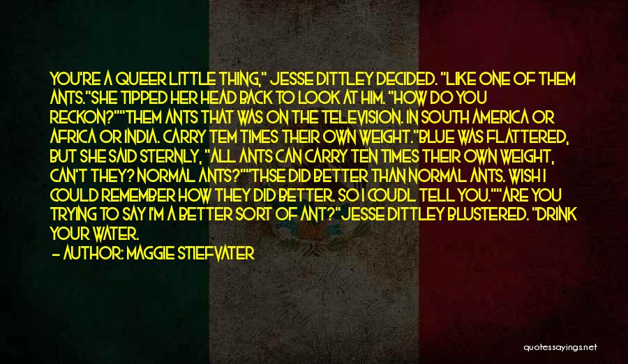 Maggie Stiefvater Quotes: You're A Queer Little Thing, Jesse Dittley Decided. Like One Of Them Ants.she Tipped Her Head Back To Look At