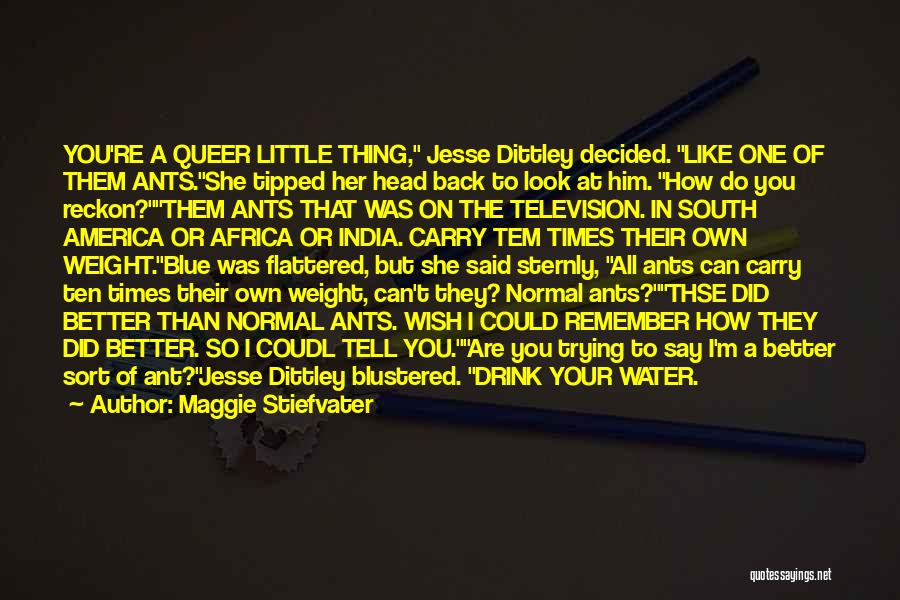 Maggie Stiefvater Quotes: You're A Queer Little Thing, Jesse Dittley Decided. Like One Of Them Ants.she Tipped Her Head Back To Look At