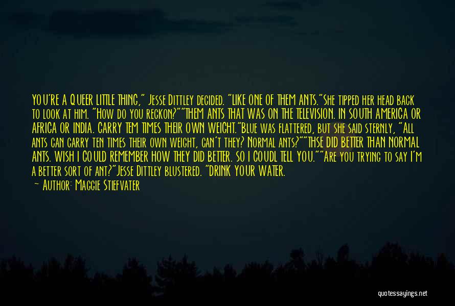 Maggie Stiefvater Quotes: You're A Queer Little Thing, Jesse Dittley Decided. Like One Of Them Ants.she Tipped Her Head Back To Look At