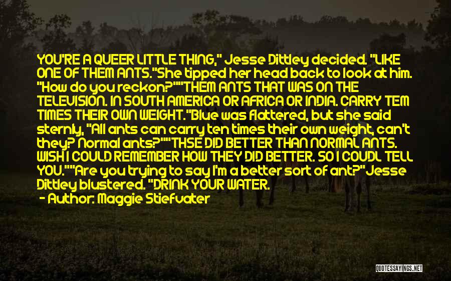 Maggie Stiefvater Quotes: You're A Queer Little Thing, Jesse Dittley Decided. Like One Of Them Ants.she Tipped Her Head Back To Look At