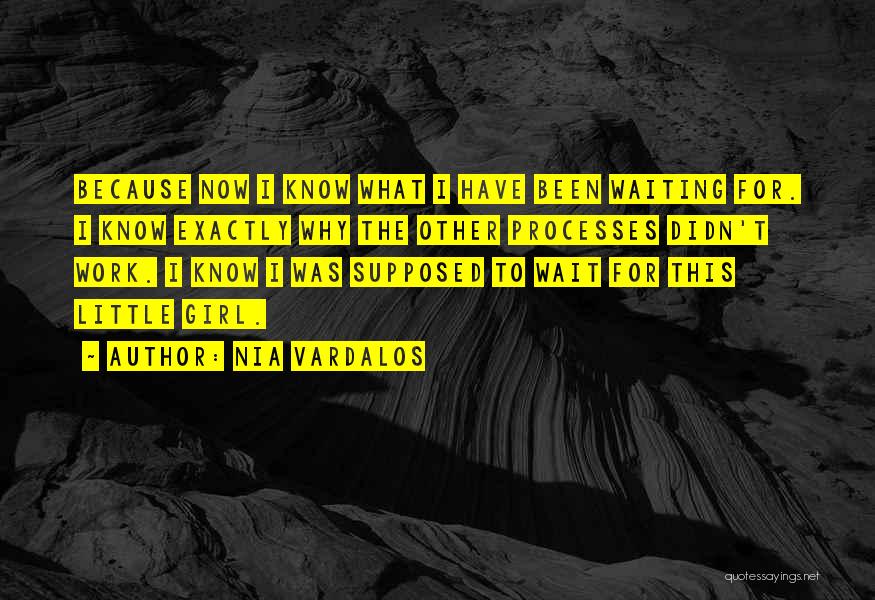 Nia Vardalos Quotes: Because Now I Know What I Have Been Waiting For. I Know Exactly Why The Other Processes Didn't Work. I