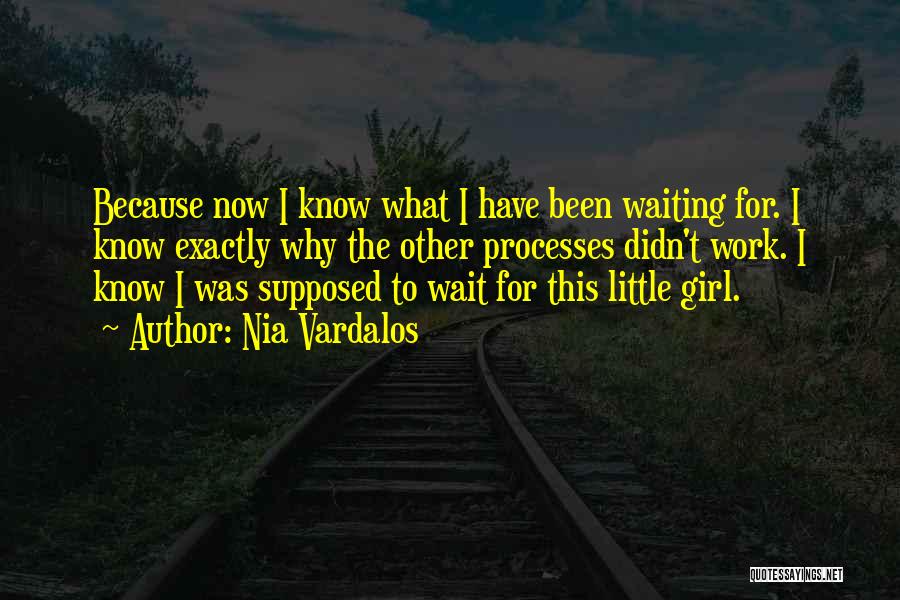 Nia Vardalos Quotes: Because Now I Know What I Have Been Waiting For. I Know Exactly Why The Other Processes Didn't Work. I