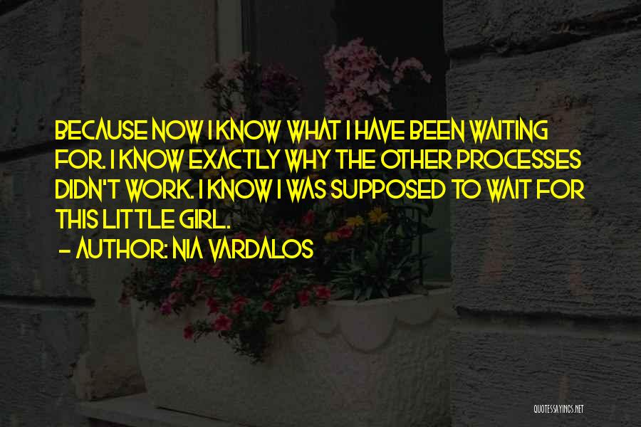 Nia Vardalos Quotes: Because Now I Know What I Have Been Waiting For. I Know Exactly Why The Other Processes Didn't Work. I