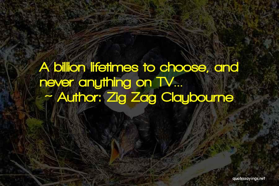 Zig Zag Claybourne Quotes: A Billion Lifetimes To Choose, And Never Anything On Tv...