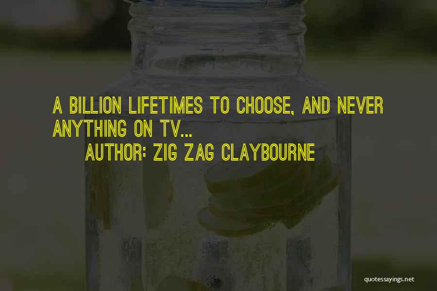 Zig Zag Claybourne Quotes: A Billion Lifetimes To Choose, And Never Anything On Tv...