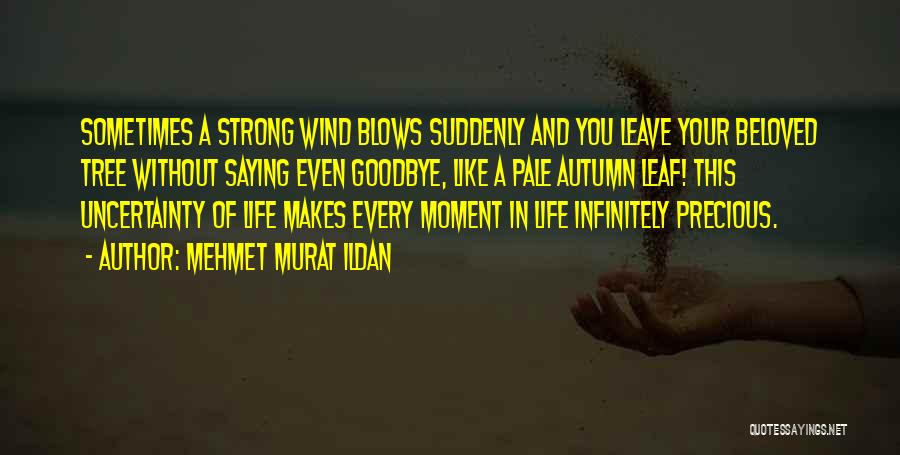 Mehmet Murat Ildan Quotes: Sometimes A Strong Wind Blows Suddenly And You Leave Your Beloved Tree Without Saying Even Goodbye, Like A Pale Autumn