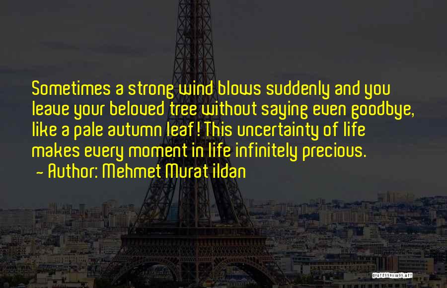 Mehmet Murat Ildan Quotes: Sometimes A Strong Wind Blows Suddenly And You Leave Your Beloved Tree Without Saying Even Goodbye, Like A Pale Autumn